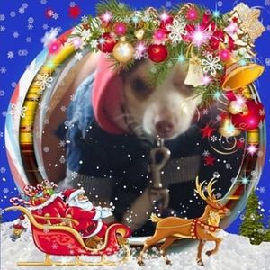 Meet your Posher, Johnny